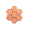 Canter Hex