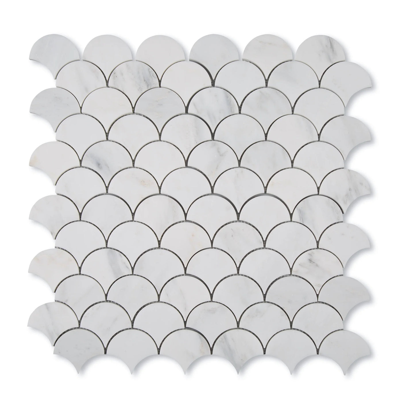 Princess Bianca Fish Scale
