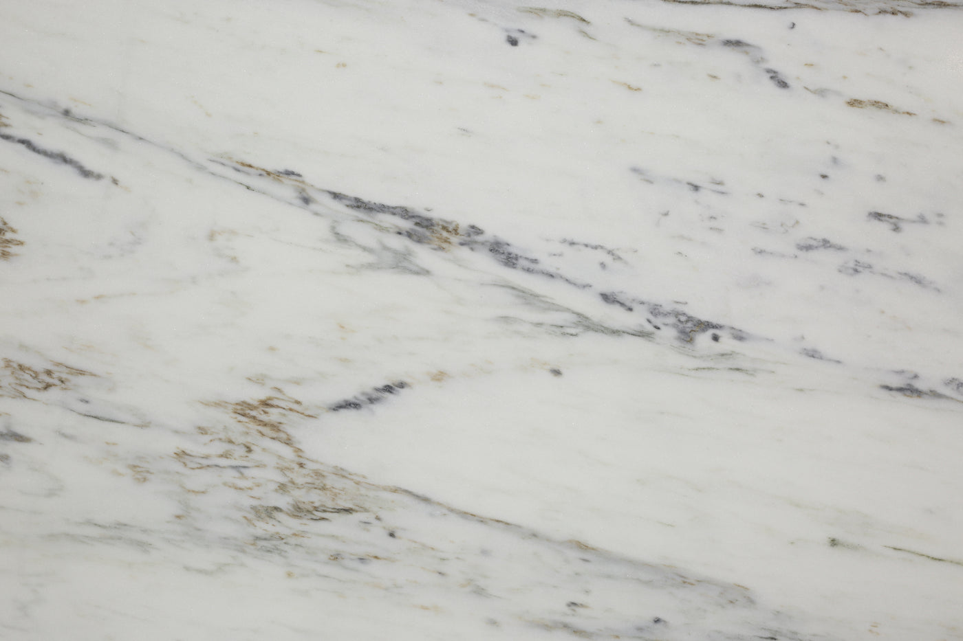 Tessla Bianco