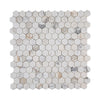 Viola Caprice Hex