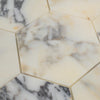 Viola Caprice Hex