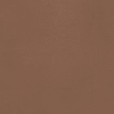 Visionary Color